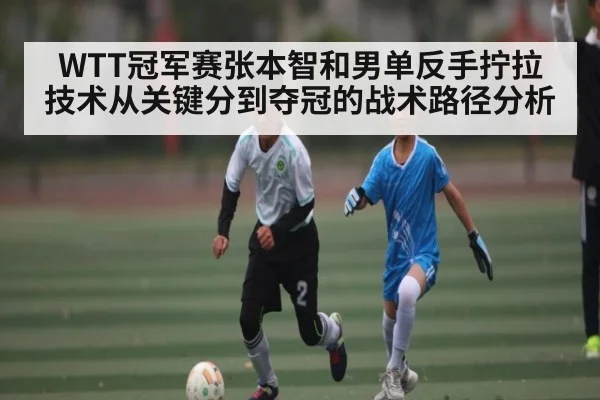 WTT冠军赛张本智和男单反手拧拉技术从关键分到夺冠的战术路径分析